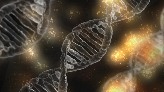 Three double-helix DNA strands with yellow-orange molecules floating between them