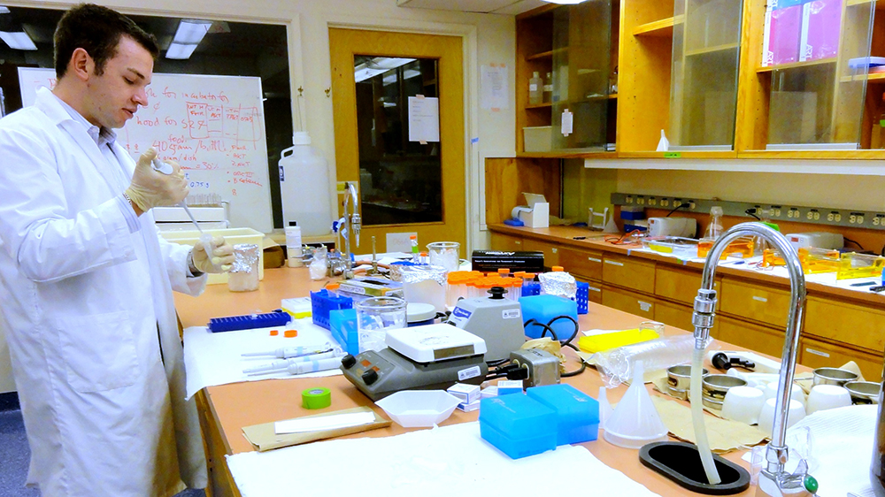 A researcher work in a lab