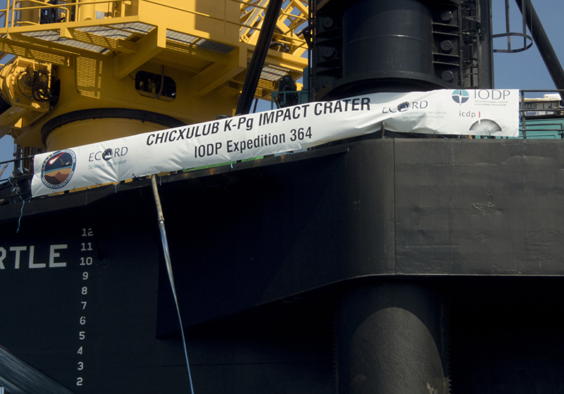 Project banner on the myrtle
